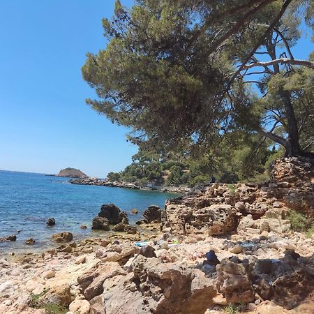 Charmant Studio 2A4 Pers Avec Jardin Et Place De Parking Situe A 5 Min A Pied De La Mer Bandol Ngoại thất bức ảnh