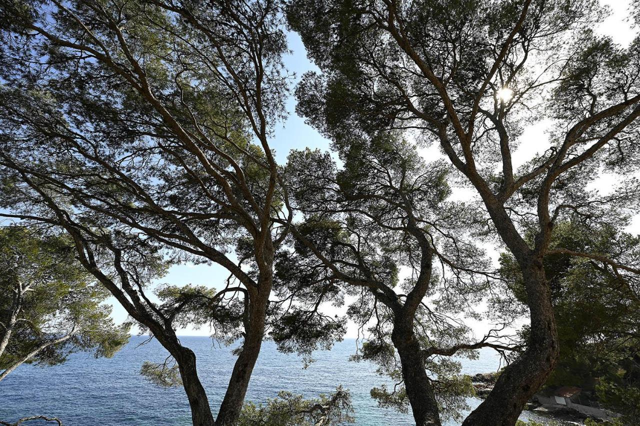 Charmant Studio 2A4 Pers Avec Jardin Et Place De Parking Situe A 5 Min A Pied De La Mer Bandol Ngoại thất bức ảnh