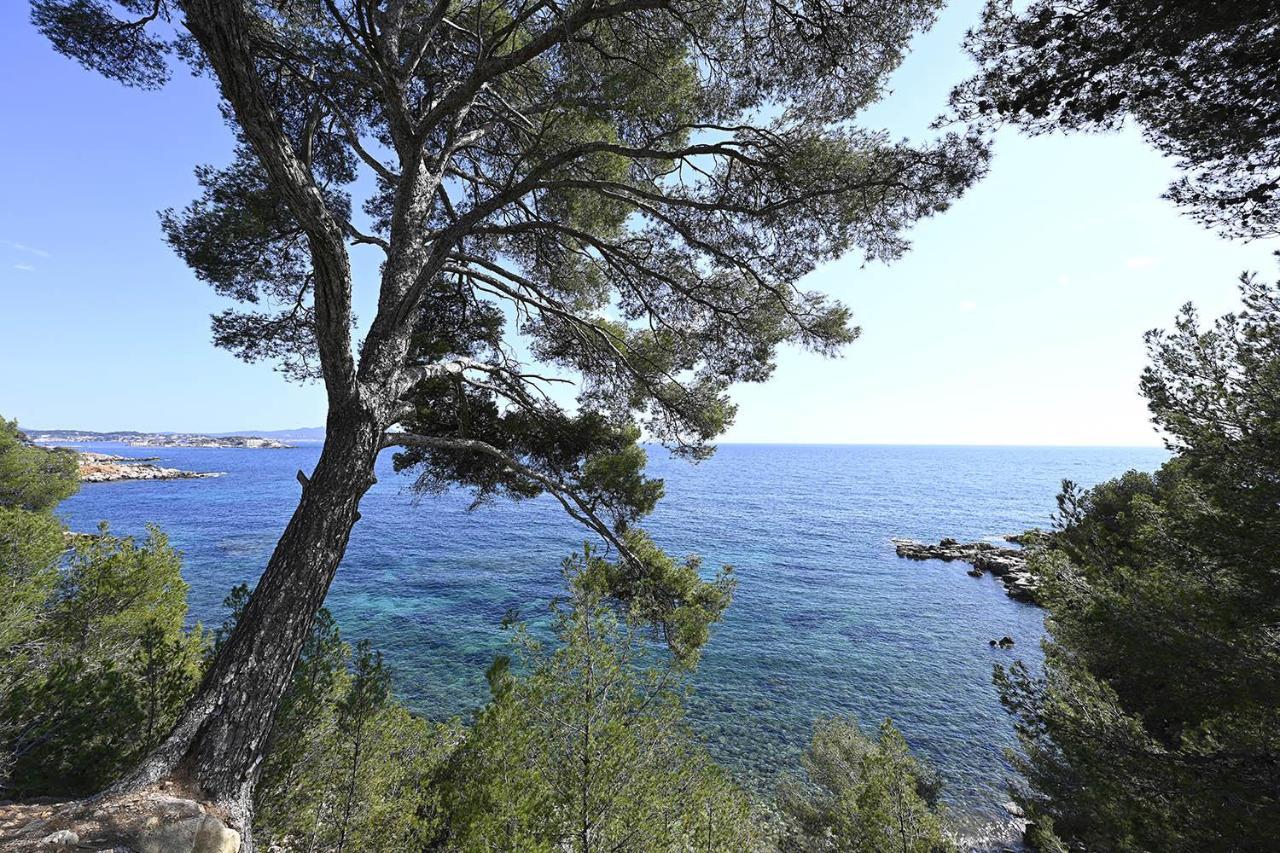 Charmant Studio 2A4 Pers Avec Jardin Et Place De Parking Situe A 5 Min A Pied De La Mer Bandol Ngoại thất bức ảnh