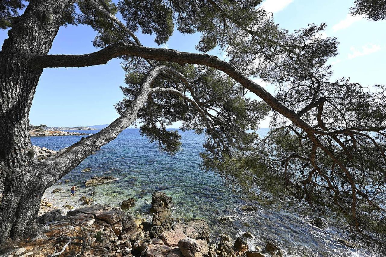Charmant Studio 2A4 Pers Avec Jardin Et Place De Parking Situe A 5 Min A Pied De La Mer Bandol Ngoại thất bức ảnh