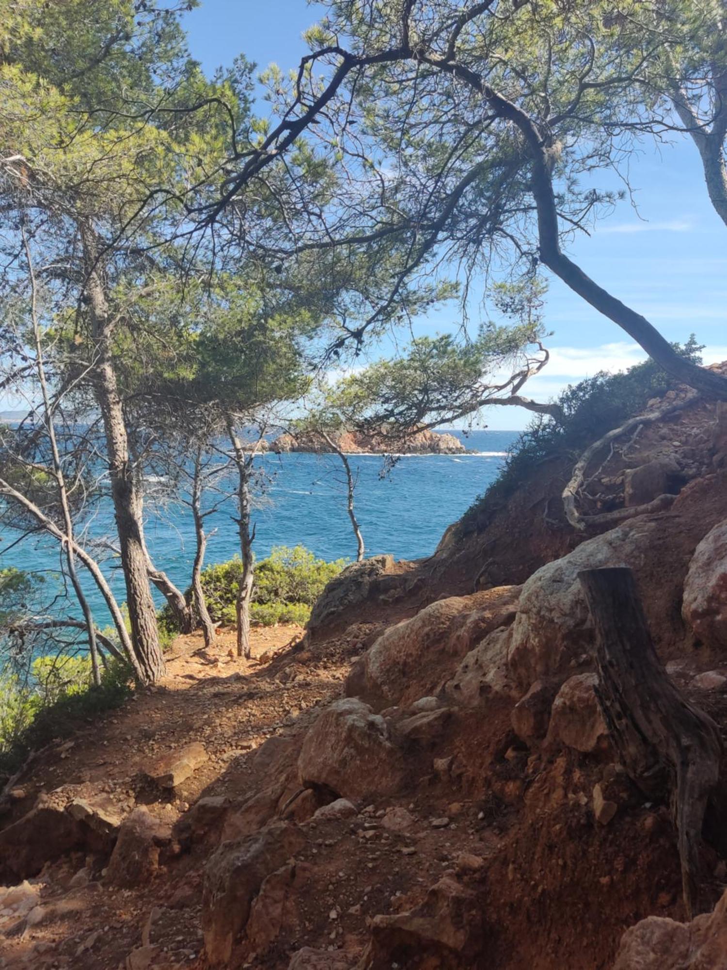 Charmant Studio 2A4 Pers Avec Jardin Et Place De Parking Situe A 5 Min A Pied De La Mer Bandol Ngoại thất bức ảnh
